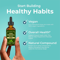 Complément alimentaire pour le bien-être général, gouttes liquides de chlorophylle à 50 mg, saveur menthe poivrée, 100 % végétalien, naturel, marque privée OEM