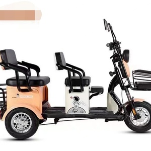 Triciclo Eléctrico Chino de 3 Ruedas para Adultos, 750W/500W, con Neumáticos Anchos, para Carga, Venta al por Mayor - Product Image 2