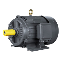 Moteur à induction triphasé en fonte à 4 pôles AC 37 kW pour pompe à eau HVAC