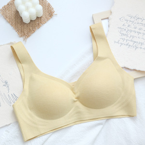 Fabricantes Atacado Outono e Inverno Autêntico Alemão Velvet Seamless Underwear One Piece No Steel Ring <span class=keywords><strong>Bra</strong></span>