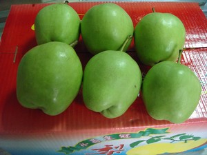 Mele Verdi Grandi di Alta Qualità dalla Cina Raccolto Fresco Lunga Durata di Conservazione Mele Fresche Fornitura all'Ingrosso - Product Image 5