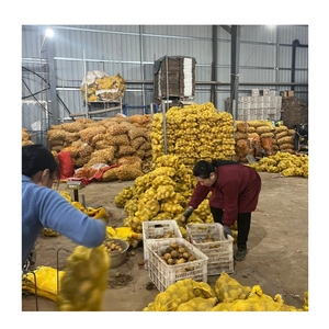 Pommes de terre fraîches naturelles en vrac, qualité supérieure, provenant de Chine, pour l'importation alimentaire mondiale et les supermarchés - Product Image 6
