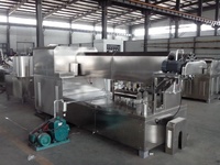Machine de fabrication de spaghettis macaronis à haute efficacité en acier inoxydable 200 kg/h 304