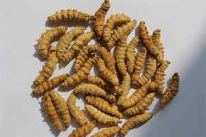 อาหารแห้งฟรีซดรายจากตัวอ่อนหนอนไหม 100% จากธรรมชาติ โปรตีนสูง สำหรับสัตว์พันธุ์เล็ก เป็นมิตรต่อสิ่งแวดล้อม บำรุงสุขภาพผิวหนังและขนด้วยสารสกัดจากหนังปลา - Product Image 6