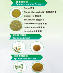 Poudre d'extrait de feuilles de <span class=keywords><strong>Ginkgo</strong></span> Biloba séché à <span class=keywords><strong>prix</strong></span> de charge Meilleur extrait de <span class=keywords><strong>Ginkgo</strong></span> Biloba - Product Image 5
