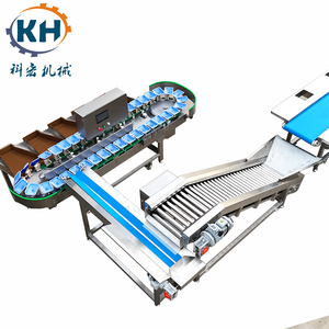 Trieur <span class=keywords><strong>de</strong></span> poids électronique pour légumes et fruits, adapté à la pesée et à la calibrage des tomates, pommes <span class=keywords><strong>de</strong></span> terre, avocats, myrtilles - Product Image 3