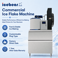 Machine à glace en flocons de neige en acier inoxydable 800 kg/jour, personnalisation rapide, usage commercial et industriel, durable, haute performance