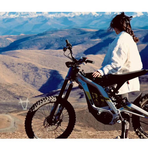 En Stock barato potente <span class=keywords><strong>Mid</strong></span> Surround adolescentes Surround 2025 Hyper Bee 74V/ 60AH bicicleta eléctrica híbrida - Product Image 2
