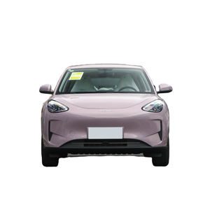 Vendita calda di alta qualità 2025 Geely Xingyuan piccolo veicolo elettrico puro 310km SUV <span class=keywords><strong>Dream</strong></span> Edition - Product Image 1