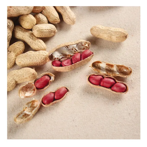 Kacang Hitam Kelas Atas Cina Harga Sangat Bergizi Jumlah Besar Kacang Kulit Merah Kering