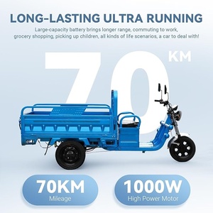 China Electric Three-Wheel Adult Tricycle Motorcycle 60v Motorized Tricycles for Cargo and Passenger Use - Product Image 6