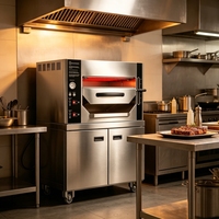 Gril à gaz commercial en acier inoxydable de haute qualité pour restaurant, hôtel, cuisine, avec armoire, pour grillades de steaks