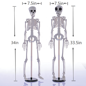 Esqueleto de Halloween de Plástico de 90 cm con Articulaciones Móviles, <span class=keywords><strong>Huesos</strong></span> Humanos, <span class=keywords><strong>Cuerpo</strong></span> Completo, para Decoración de Fiestas de Halloween - Product Image 3