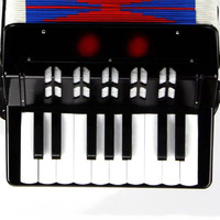 Acordeón Infantil Colorido de Fábrica OEM con 17 Teclas y 8 Pedales de Bajo, Instrumento Musical de Teclado para Niños