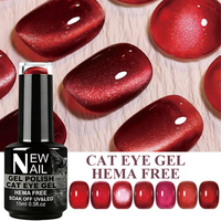 Kit de vernis à ongles semi-permanents magnétiques effet œil de chat UV, 30 couleurs, pour nail art, à retirer par trempage, en bouteille, marque privée