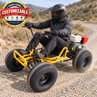 Kart à pédales pour adultes personnalisable avec moteur refroidi par air de 212 cm3, réservoir de carburant de 3,5 L, frein à disque hydraulique arrière pour pistes extérieures