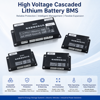 ECBMS 160S Baterai Lithium Tegangan Tinggi Cerdas BMS Power Bank PCBA EC-HV-MC1+EC-HV-SC9+Layar LCD 4.3 inci CAN RS485