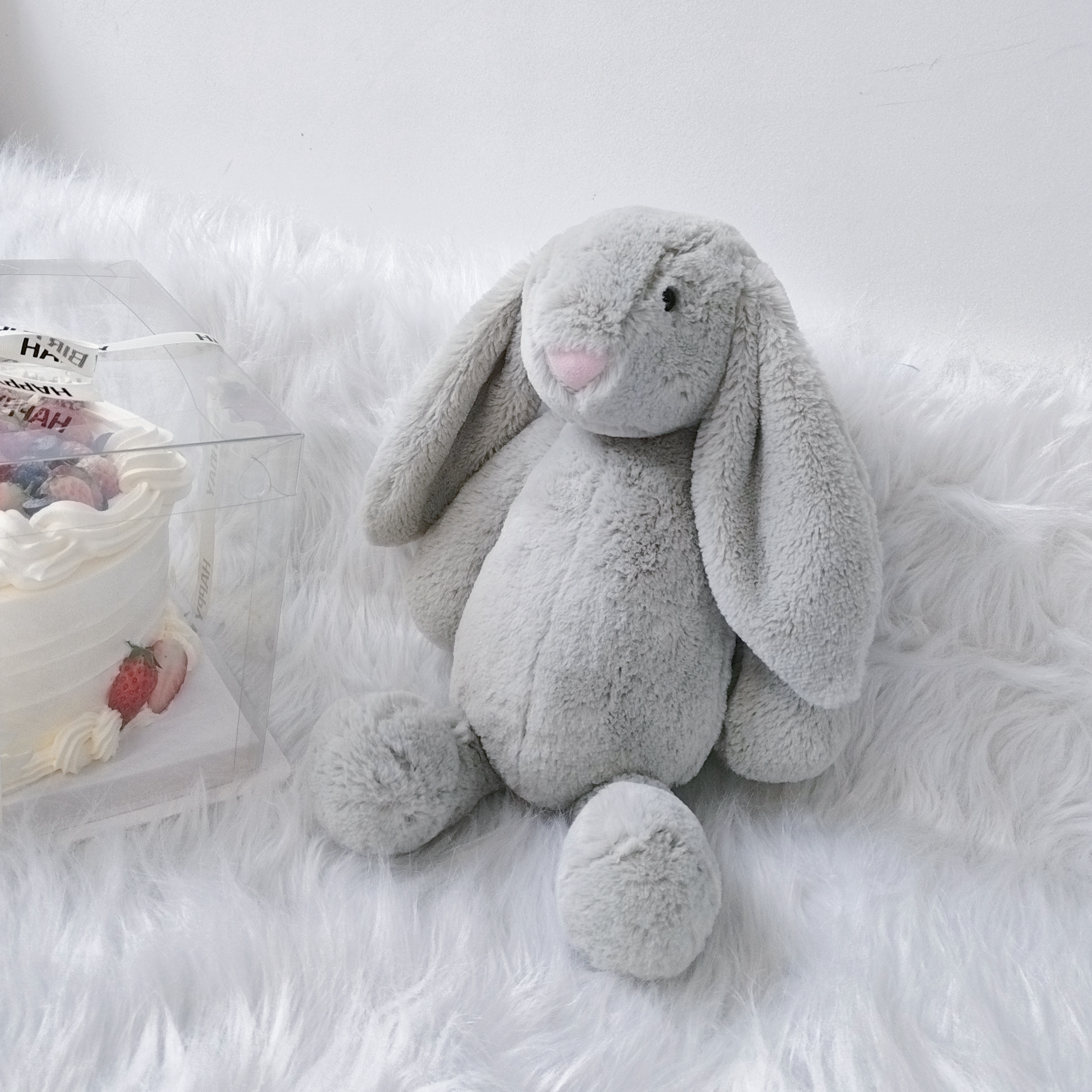 Lapin gris