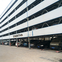 Sistema de Elevación de Estacionamiento Inteligente para Garajes Tabitha PCS con Certificación CE ISO, Motor Eléctrico Shandong, Garantía de 5 Años, Capacidad de Carga de 2000 kg