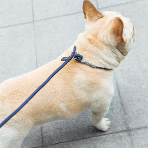 Tali anjing Slip mobil, tali latihan banyak tali anjing peliharaan - Product Image 2