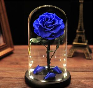 2025yearsValentine's Day Gifts Led Light Forever Eternal Natural Roses Préservées Real Never Withered Flowers For Parbest Quality - Product Image 3