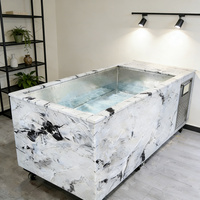 Baignoire de massage spa autoportante pour 2 personnes avec pompe de refroidissement pour bain de glace d'athlètes, revêtement en acier inoxydable de haute qualité