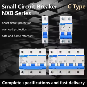 Interruptor de Circuito Pequeño para el Hogar China Chint NXB-63C, Interruptor de Aire Ignífugo, Protección Contra Cortocircuitos y Sobrecarga 2P - Product Image 2