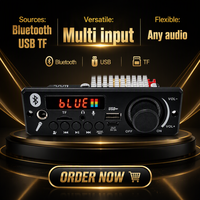 Reproductor de MP3 con Decodificador, Placa Amplificadora de 2x100w, Sistema de Audio para el Hogar, para Ensamblaje de Altavoces, Mayorista de Audio para Fábricas