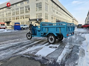 Wheel Tricycle with 1.5m/1.8m <b>Box</b> - Product Image 3
