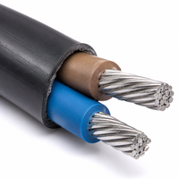Flammhemmendes Klasse-C Aluminiumleiter XLPE-isoliertes PVC-ummanteltes Stromkabel 0,6/1kV (ZC-YJLV)