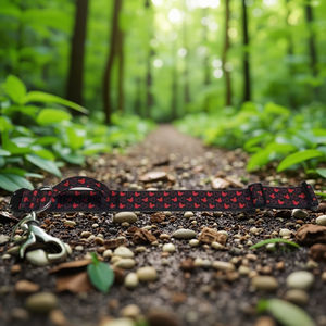 Collares ecológicos de calidad <span class=keywords><strong>superior</strong></span> para perros, correas para mascotas, cómodas, reciclables, de poliéster acolchado, características sólidas para amigos peludos - Product Image 5