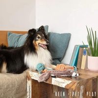 Ensemble de 6 jouets pour chiot, comprenant une balle en peluche couineuse avec corde, un disque volant et une balle à mâcher, kit de démarrage pour petits chiens, cadeau d'anniversaire de bienvenue