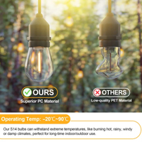 Ampoule LED à filament S14 Edison blanc chaud 2700K transparente E27 Lustre personnalisée pour culture, jardin, extérieur, guirlande lumineuse télécommandée