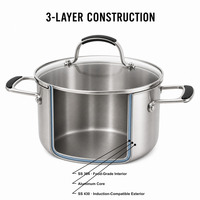 Marmite en acier inoxydable tri-couche de 24 cm avec couvercle en verre et insert vapeur assorti, compatible tous types de cuisinières, OEM