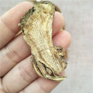 Dang Gui Preço Acessível Raiz Seca de Angelica Sinensis - Product Image 6