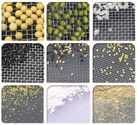 Tamis en acier inoxydable tissé de haute précision pour tests de sol en laboratoire et passoire de cuisine