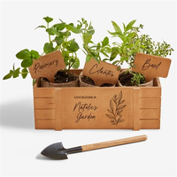 Boîte à herbes en bois gravée sur mesure, ensemble de jardinage intérieur pour la cuisine, décoration rustique pour la maison, boîte cadeau pour jardin d'herbes aromatiques