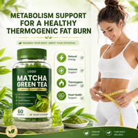 Gummies de thé vert Matcha en gros, Gummies à l'extrait de thé vert, Soutien énergétique, Approvisionnement en vrac, Fabricant de gummies OEM ODM sous marque privée