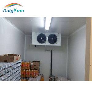 Chuối Chín Máy Làm Lạnh Phòng Lạnh Của Máy Làm Lạnh - Product Image 2