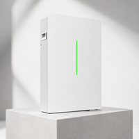 Batterie LiFePO4 à semi-conducteurs RW-G10.6 Prix Usine Série HomeSpring Batterie Solaire Domestique LV Stockage d'Énergie Hybride PV pour la Maison