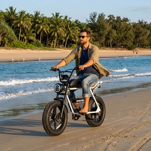 Bicicleta Eléctrica Beach Cruiser con Neumáticos Anchos Antideslizantes y Diseño Impermeable para Vacaciones en la Playa y Paseos por la Arena - Product Image 5
