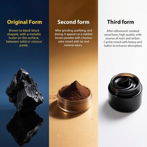 Stock entrepôt US – Expédition directe – Bâtonnets de Shilajit pur de l'Himalaya avec <span class=keywords><strong>miel</strong></span> biologique et safran, Shilajit facile à consommer, 30 bâtonnets - Product Image 5