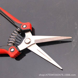 Sécateur en acier inoxydable avec lame de 70 mm, manche rouge, cueilleur de fruits pour le jardinage avec mécanisme de retour à ressort - Product Image 4