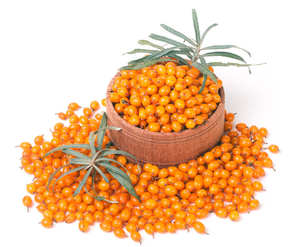 Nouvelle récolte IQF argousier fruits entiers congelés argousier - Product Image 1