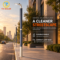 Système d'éclairage public LED solaire CIGS étanche avec contrôle intelligent et conception économe en énergie