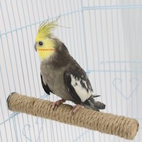 Bâton rond en bois et corde de chanvre pour oiseaux, pour le ponçage des griffes et la mastication des perroquets, accessoires de cage à oiseaux