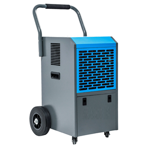 Déshumidificateur domestique portable électrique de 50 L par jour pour salon - Product Image 1