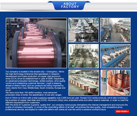 CCA-23A 2,5mm Blanker Massiver PVC-Isolierter Kupfer-Aluminium-Draht