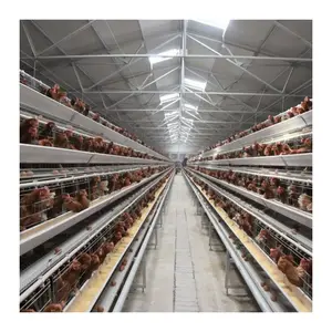 hot dipped galvanized battery chicken layer cages for breeders hens used in poultry farm