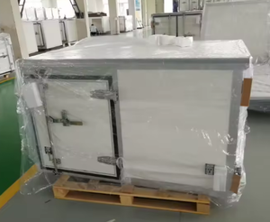 Mini cámara frigorífica/<span class=keywords><strong>caja</strong></span> de congelador portátil DC barata pero de alta calidad para camioneta de China - Product Image 2